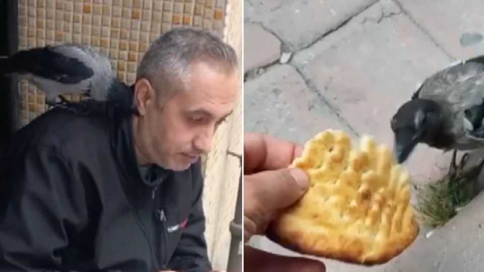 Dükkanı Açmadan Kapıda Bekliyor! Zeytinburnu’nun Sevimli Maskotu Rıfkı