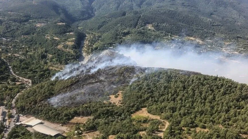 Bursa'da 3 farklı alanda çıkan orman yangınlarına müdahale ediliyor