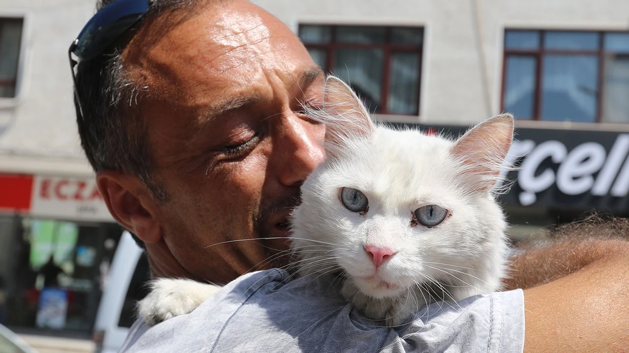 Kayıp kedisine 10 bin TL ödül koymuştu, bu kez mutluluktan ağladı