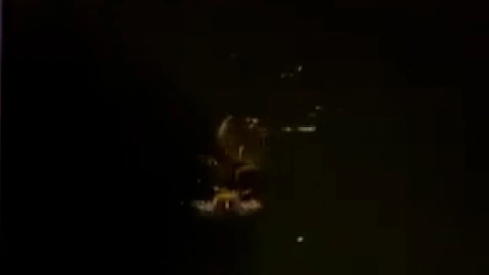 Büyükçekmece Sahili'nde kayıtlara geçti, heyecan yarattı!