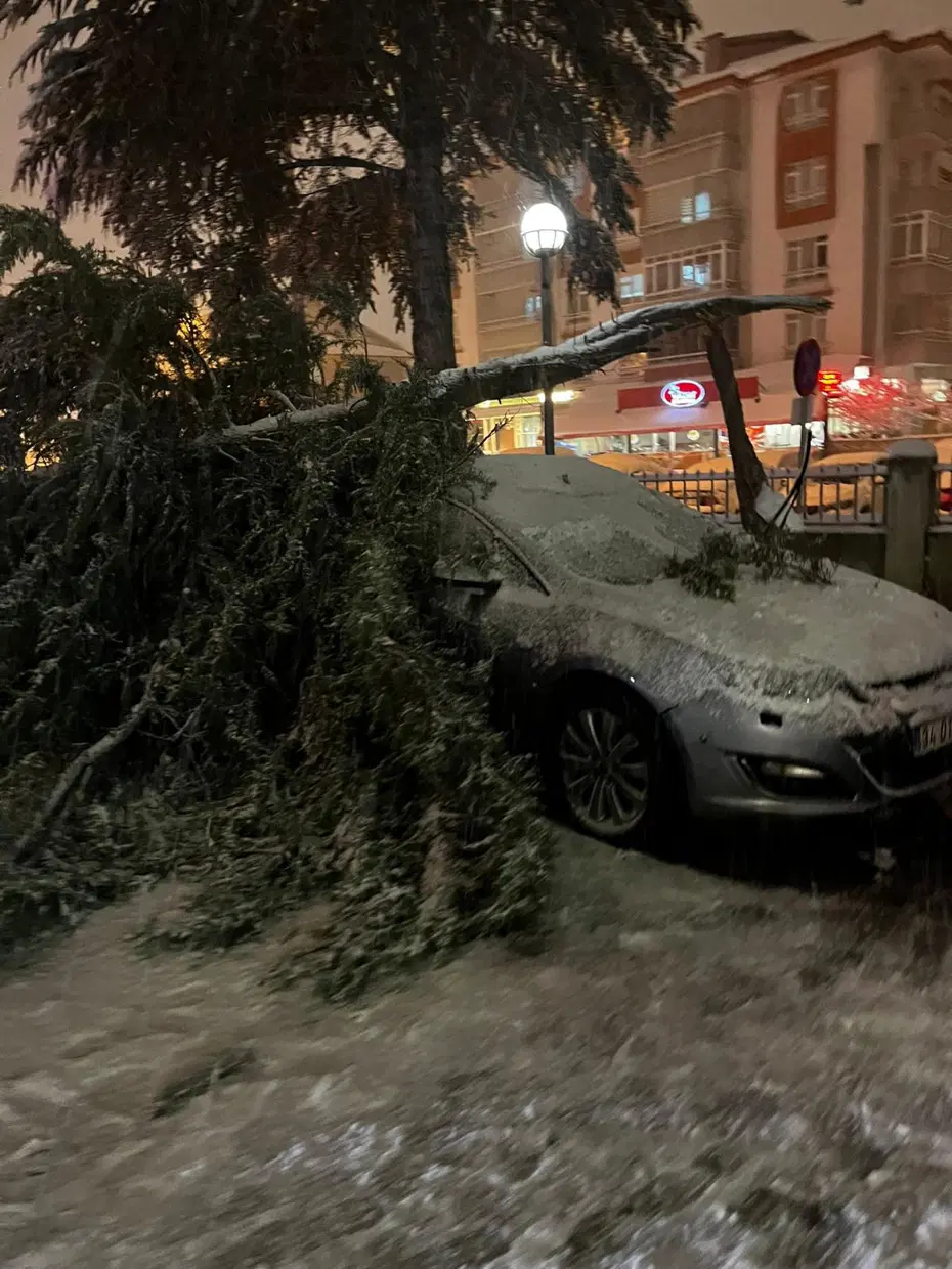Bolu'da acil servis önündeki ağaç devrildi
