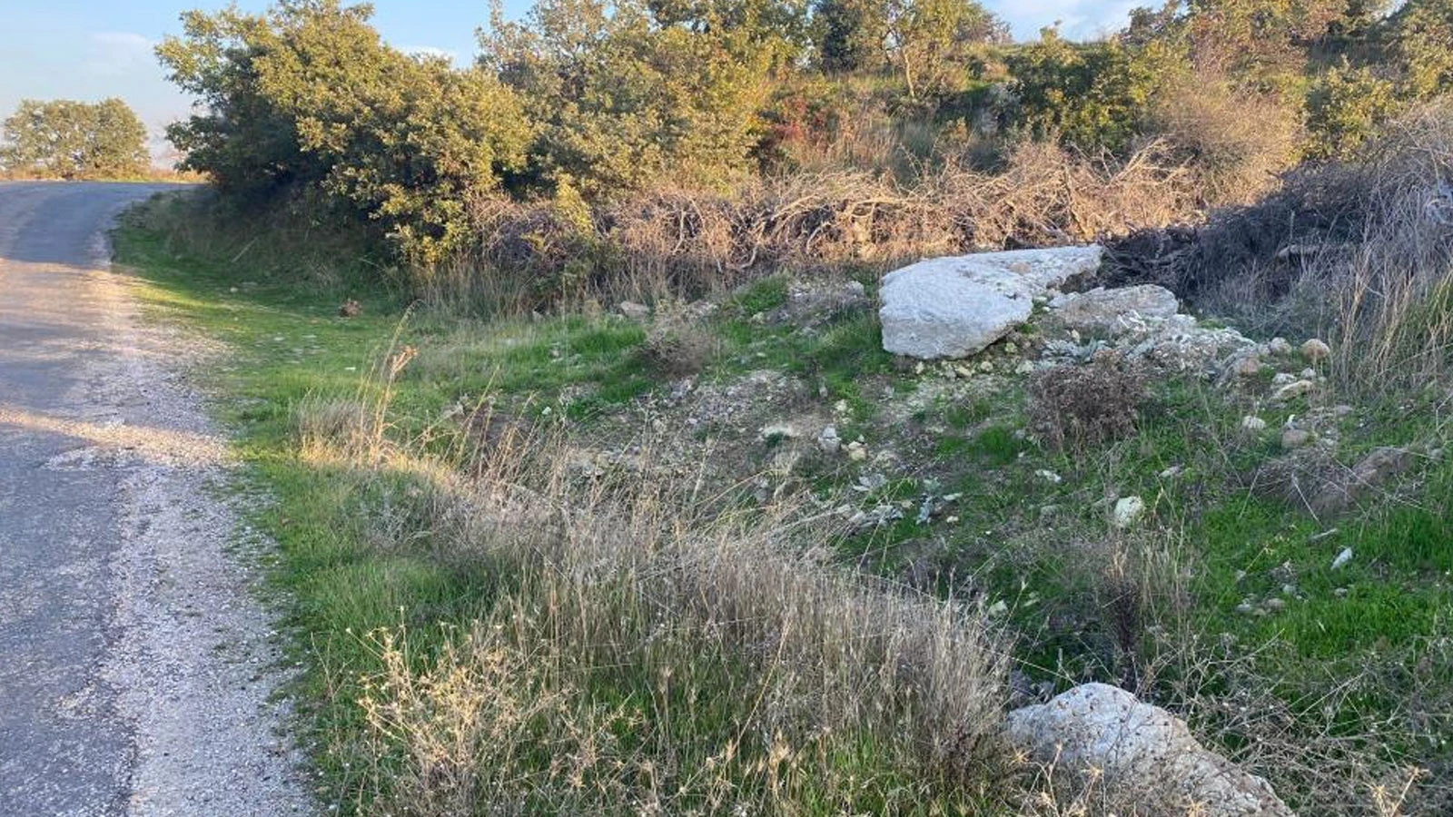 Çanakkale'de korkunç manzara! Boş arazide bebek cesedi bulundu