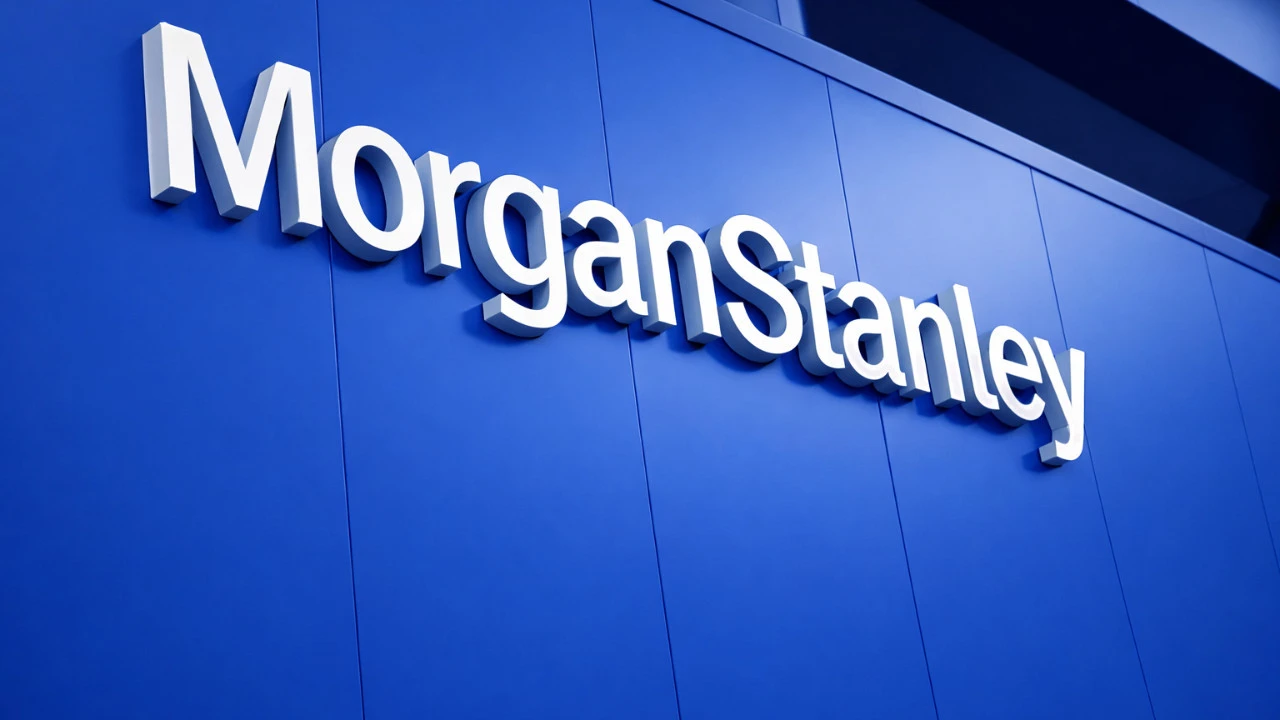 Morgan Stanley Yapay Zekada Çizgiyi Çekti: Son Söz İnsanın!