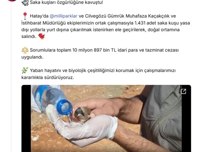 Saka kuşu kaçakçılığına 10 milyon 897 bin lira ceza