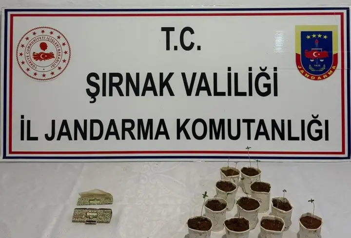 Şırnak'ta 1 Milyon 550 Bin TL'lik Kaçak Malzeme Ele Geçirildi