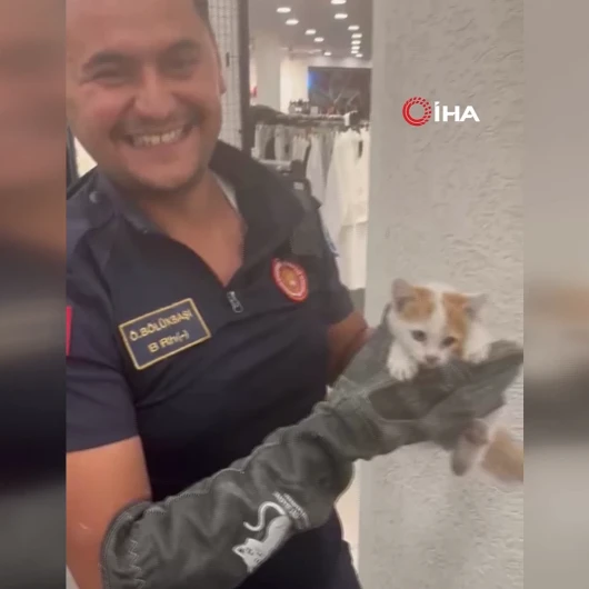 Eskişehir'de Duvar Boşluğuna Sıkışan Yavru Kediyi İtfaiye Ekipleri Kurtardı