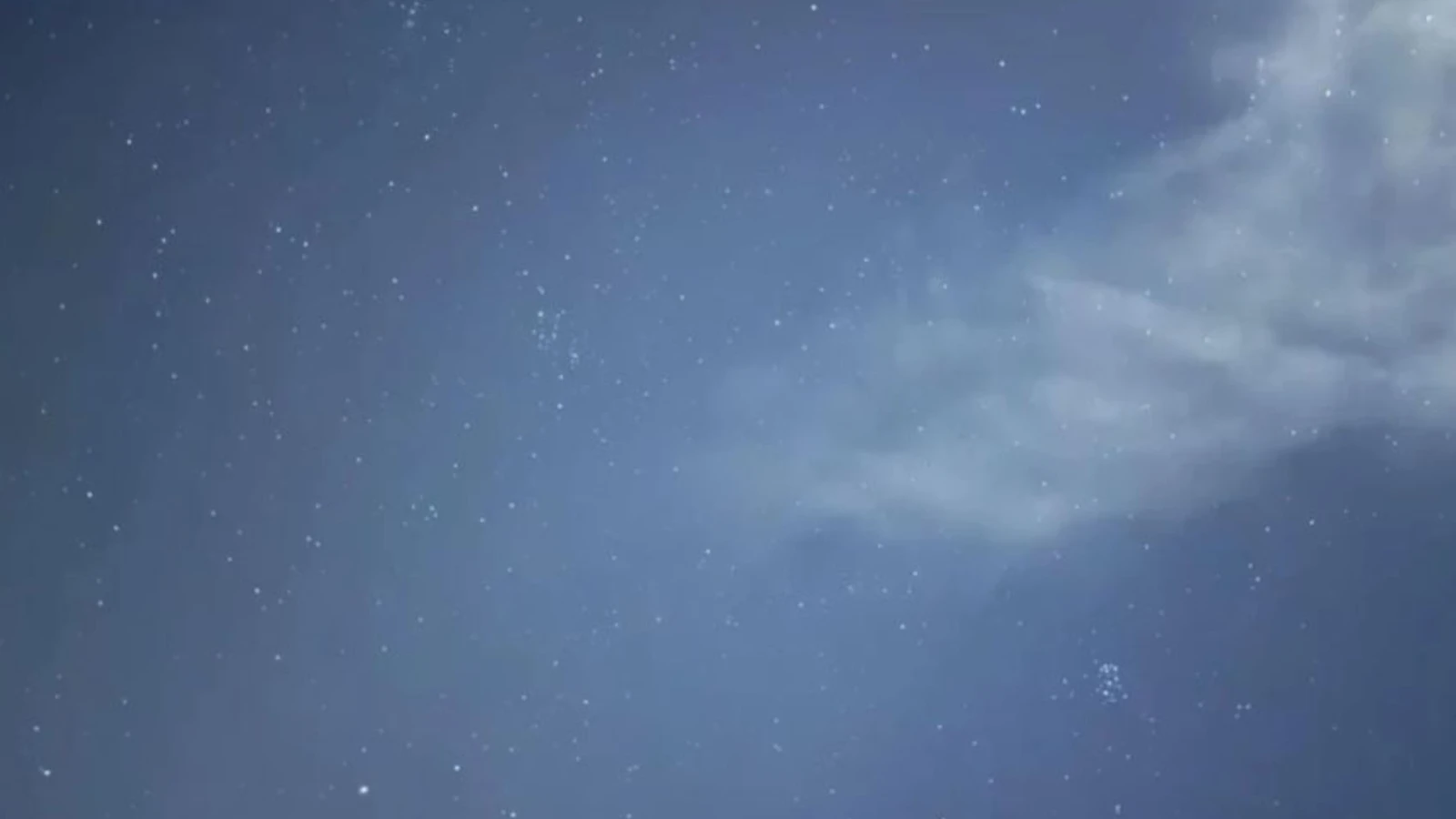 Yıldızlarda saklı pengueni sadece gerçek dahiler görmeyi başarıyor