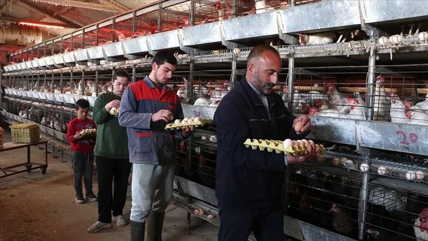 Çadırda başladığı yumurta üretimini tesiste sürdüren girişimci talebe yetişemiyor