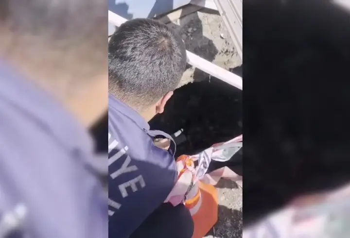 Osmaniye’de çukura düşen yavru kedi itfaiye ekiplerince kurtarıldı