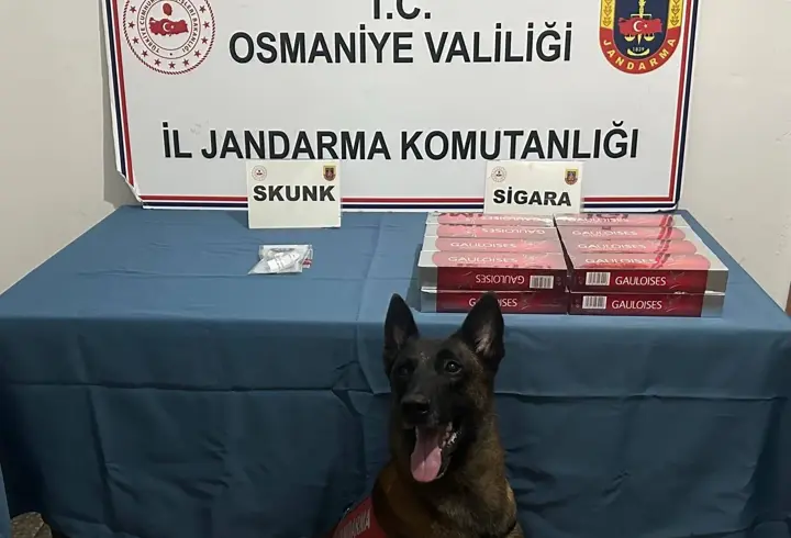 Osmaniye’de jandarma son bir haftada 114 şüpheliyi yakaladı