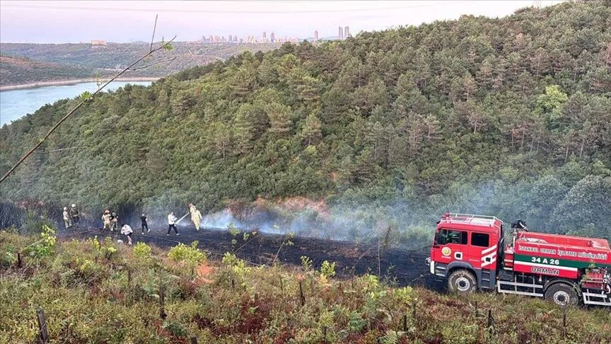Sultangazi'de kent ormanında çıkan yangın söndürüldü