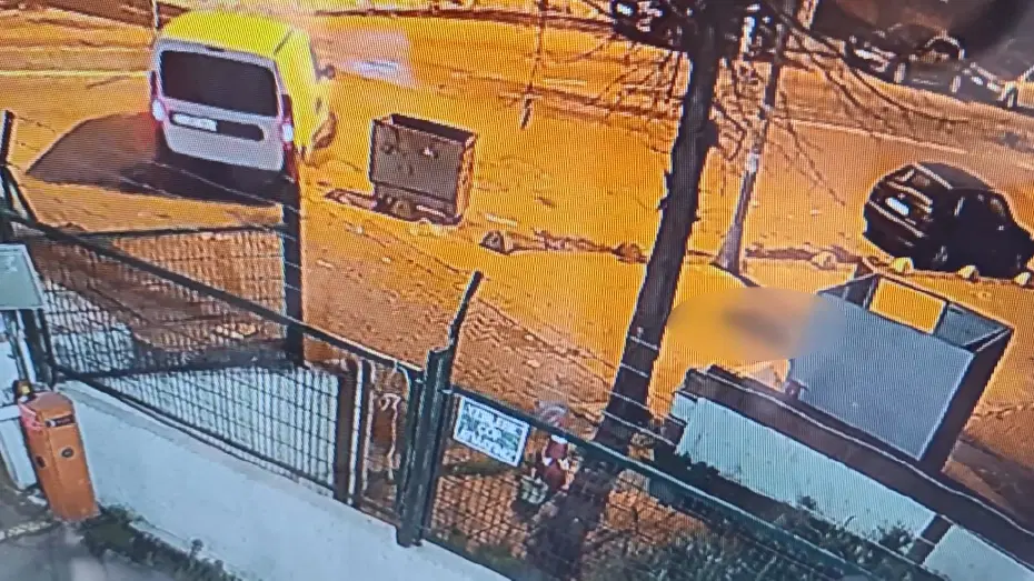 Yok böyle vicdansızlık! Kaldırımda yatan köpeği ezip yollarına devam ettiler