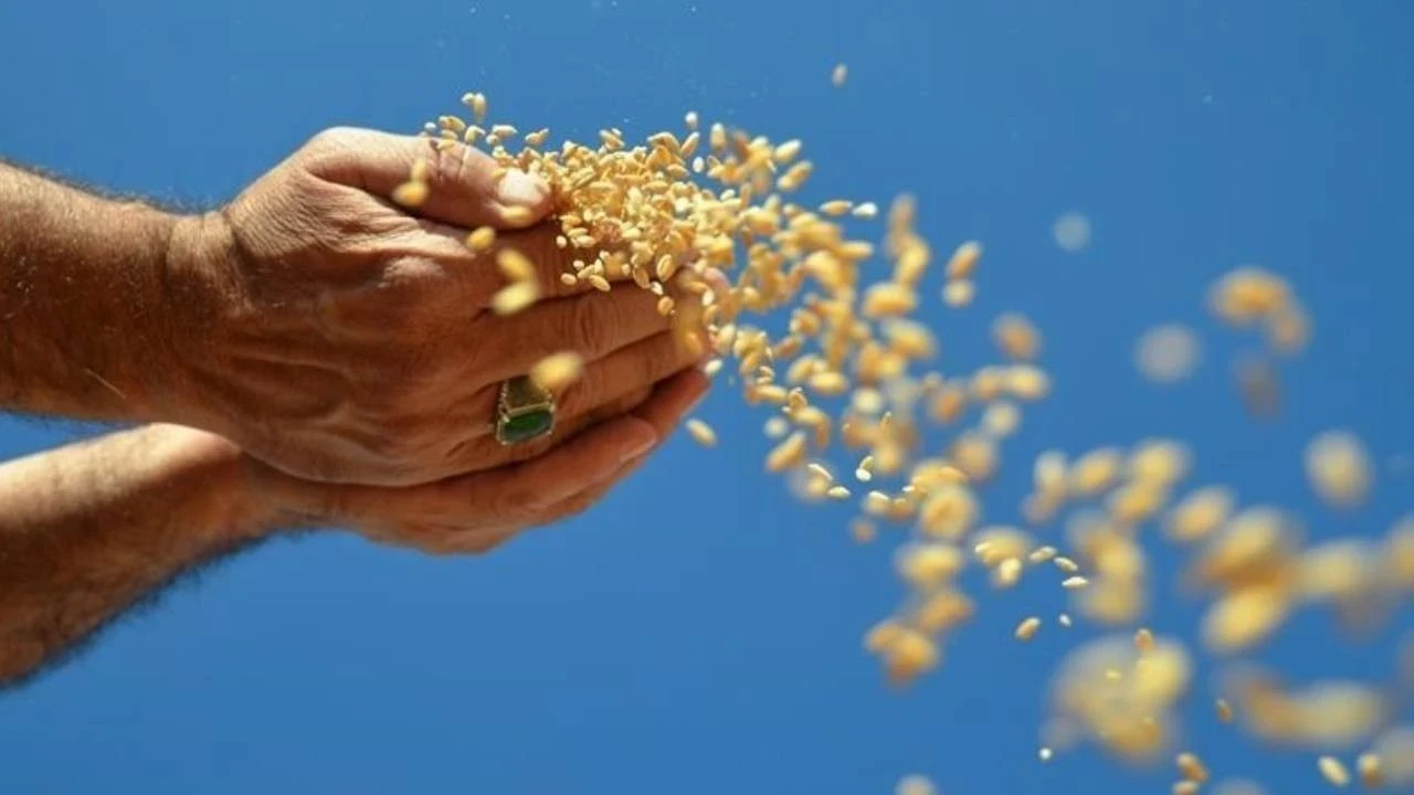 Enerji krizi bitmeden, gübre ve gıda kıtlığı geliyor