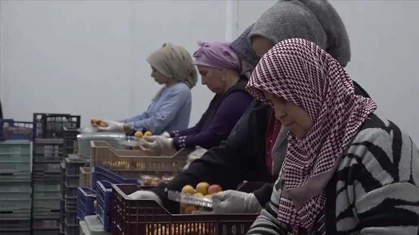TKDK'den Hatay'daki depremzede girişimcilere 200 milyon liralık ilave destek