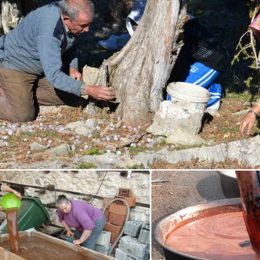 Beş Kilo Kozalak 1 Kilo Pekmeze Dönüşüyor: Kilogramı 500 Liradan Satılıyor