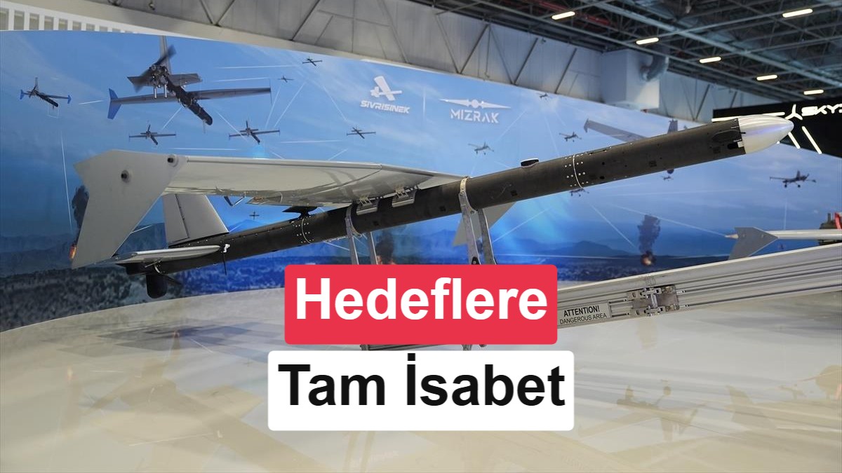 Onlarca SİVRİSİNEK sürü halinde uçarak saldırı kabiliyetini sergiledi