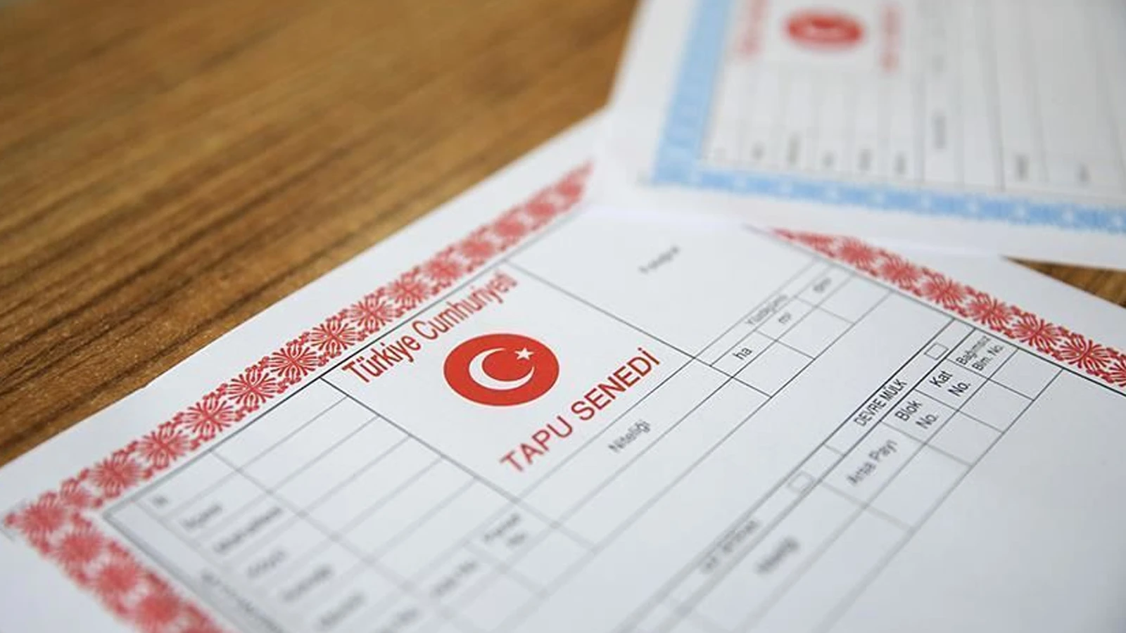 Sivas'ta bir memur sahte tapu ile hazine arazilerini satışa çıkardı