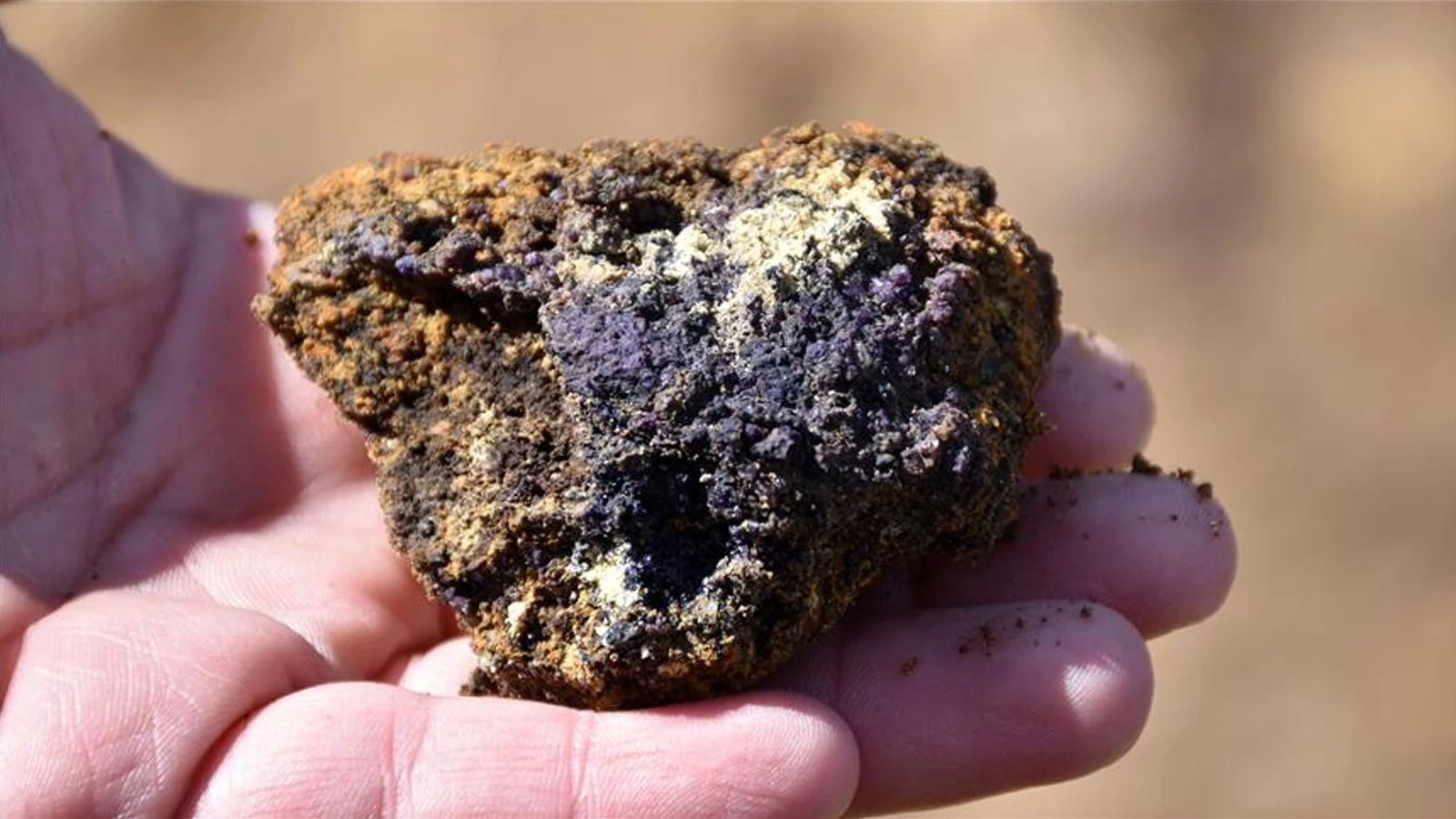 Quad dışişleri bakanları, 'Quad Kritik Mineraller Girişimi'ni duyurdu