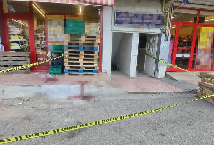 Ağabeyini bıçaklayan 17 yaşındaki şüpheli tutuklandı