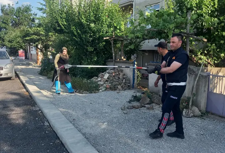 Bahçeye giren yılan yakalanarak doğaya bırakıldı