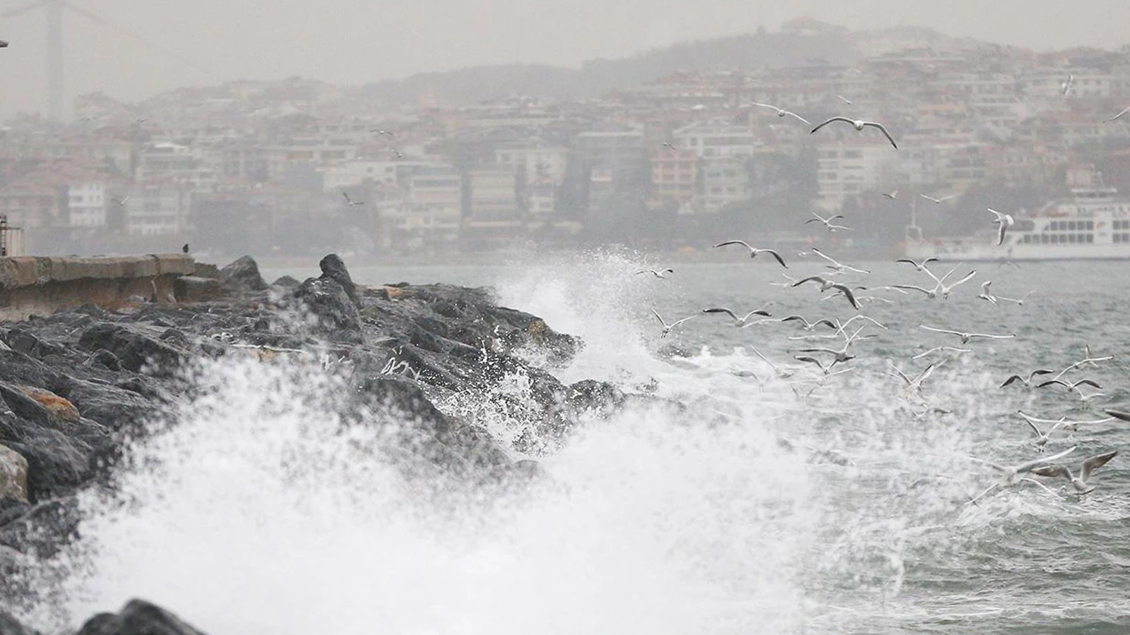 Güney Marmara'da feribot seferlerine fırtına engeli