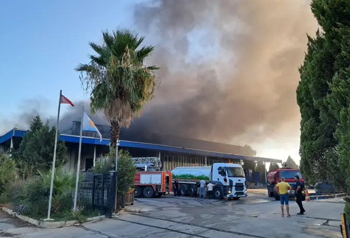Antalya'da soğuk hava deposu ve imalathanede yangın