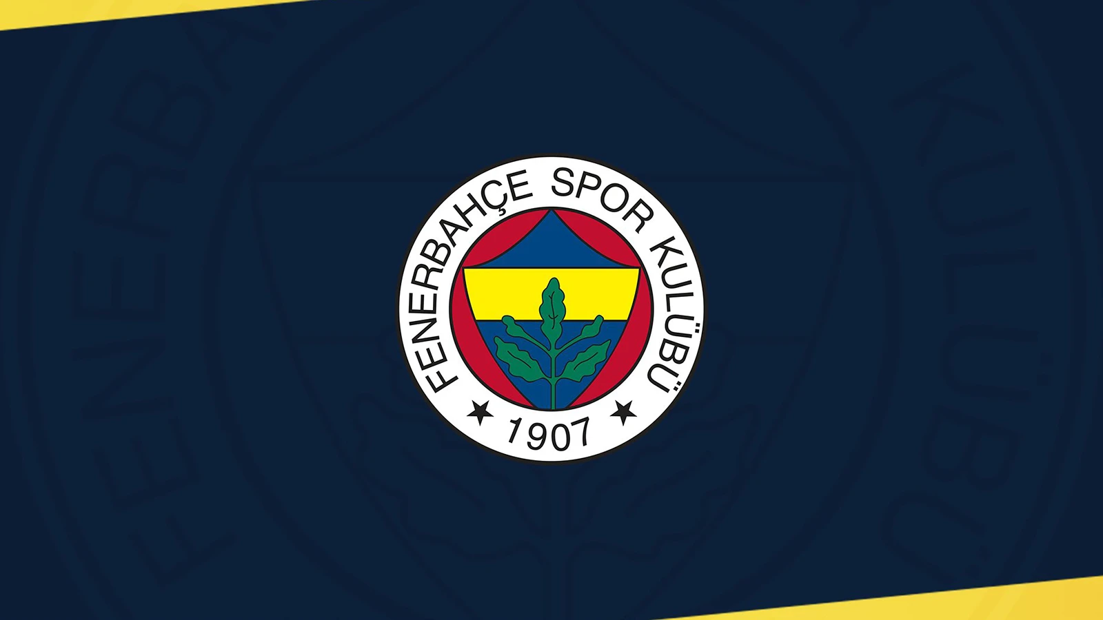 Fenerbahçe Yüksek Divan Kurulu toplantısı ertelendi