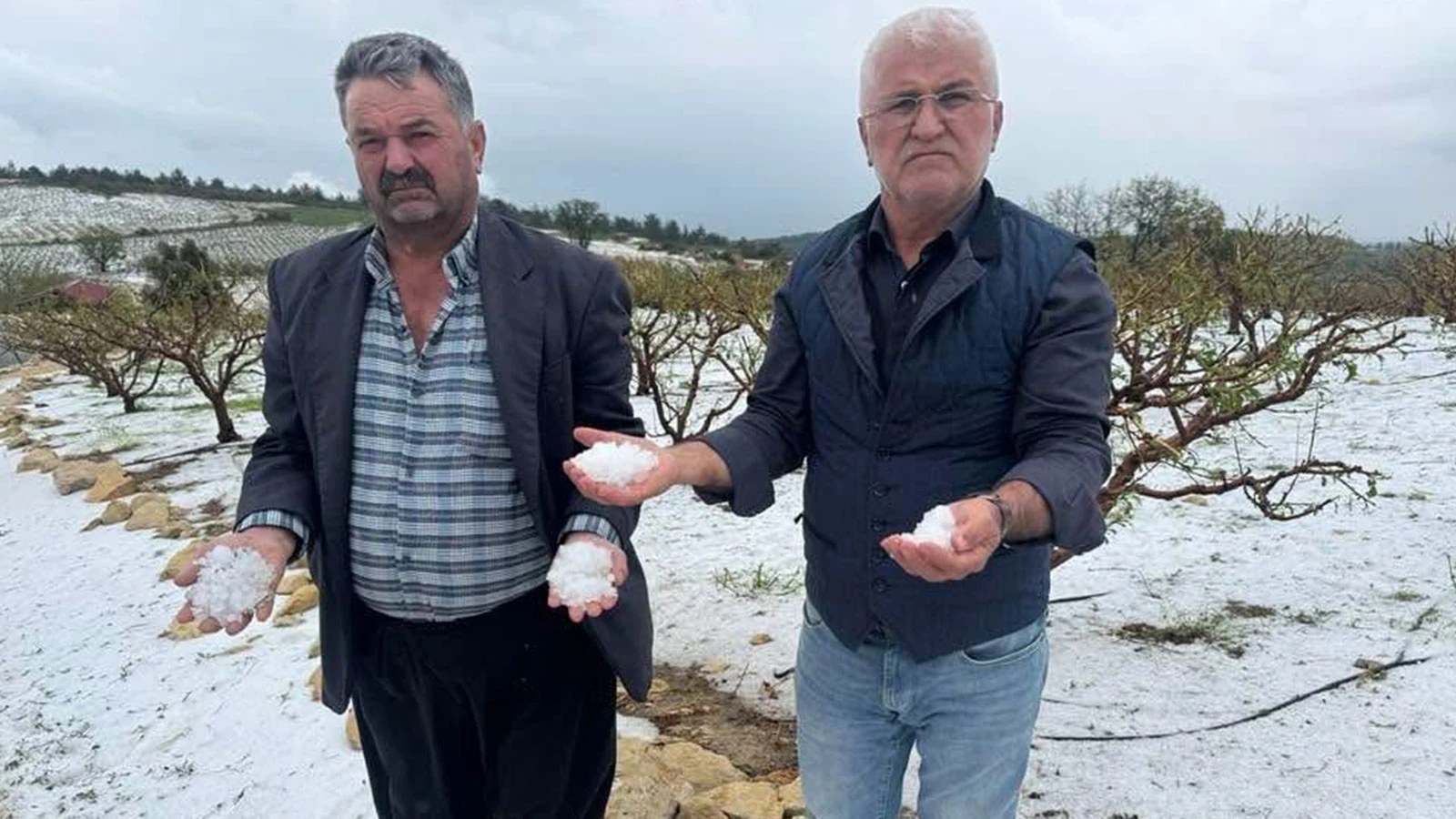 Mersin'de tarımı önce don, sonra dolu vurdu: "Acil destek talep ediyoruz"