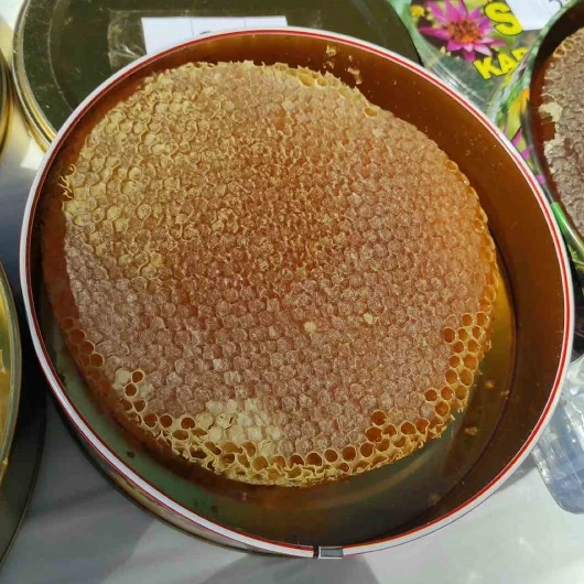 Bir Kilo Bal 400 Bin Liraya Satıldı: Bedeli Üreticilere Teslim Edildi