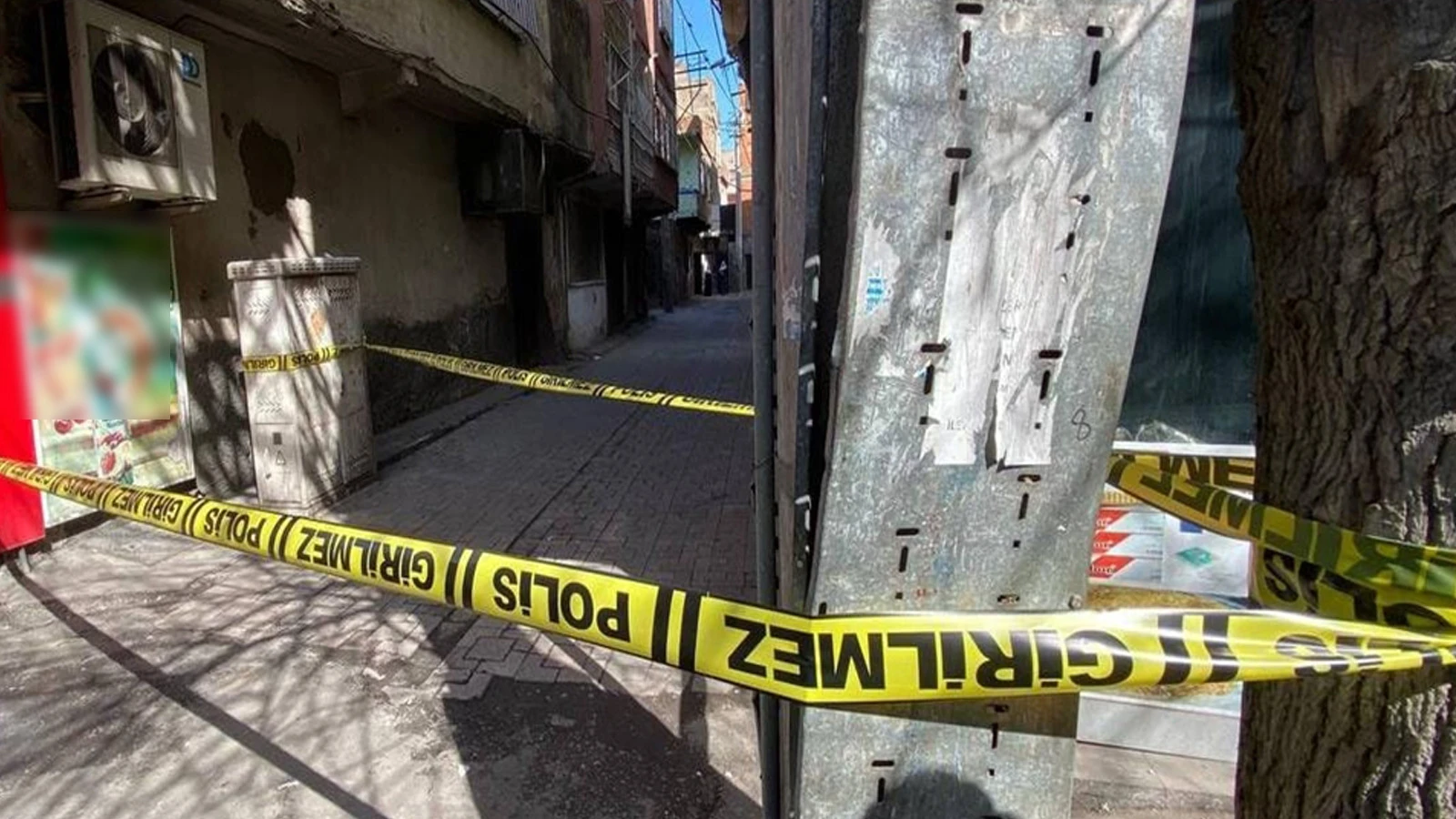 Kayınpeder dehşeti: Tartıştığı gelinini öldürdü