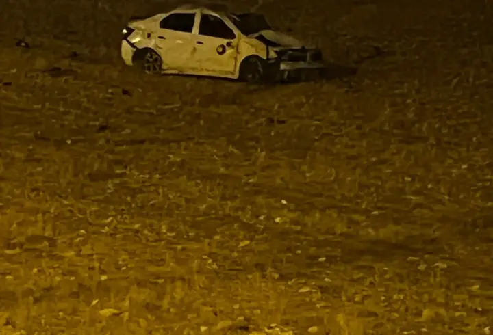 Mardin'de tarlaya devrilen otomobilin sürücüsü yaralandı