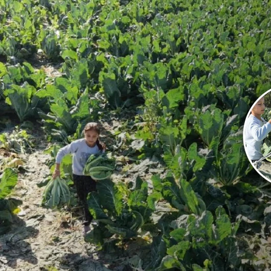 Burdur'da 9 Yaşındaki Medine Hem Okuyor Hem Tarlada Ailesine Yardım Ediyor