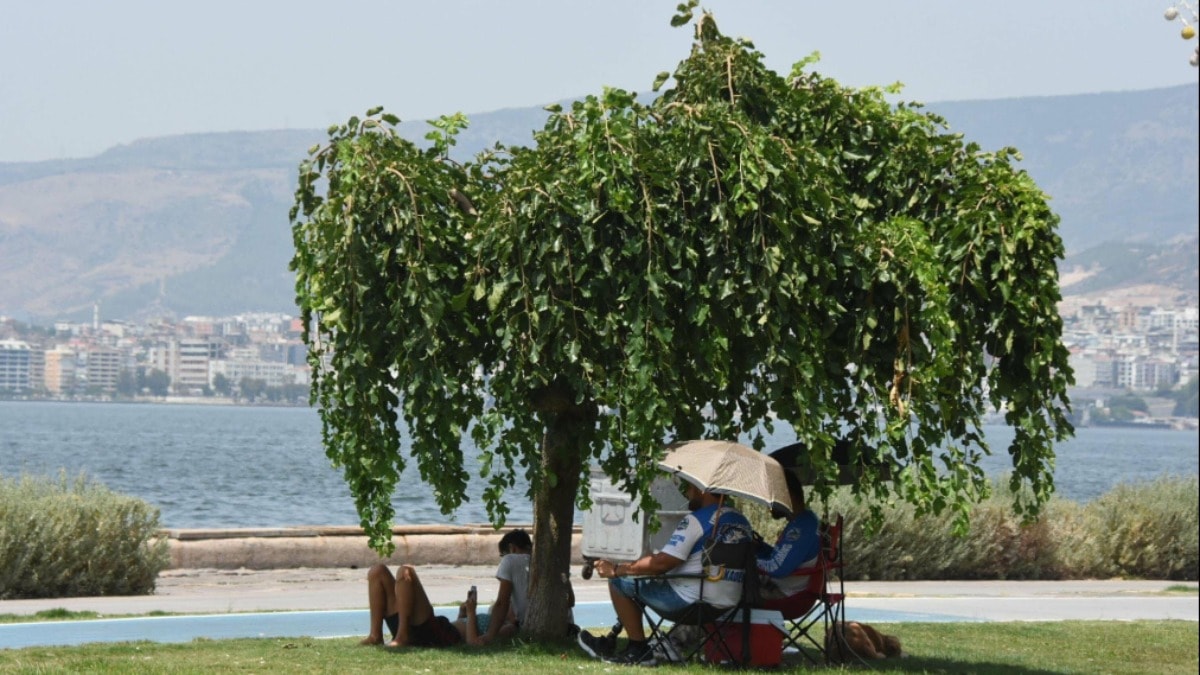 Bitmek bilmeyen sıcakların nedeni belli oldu... Yeni rekorlar yolda: Bu tarihlere dikkat!