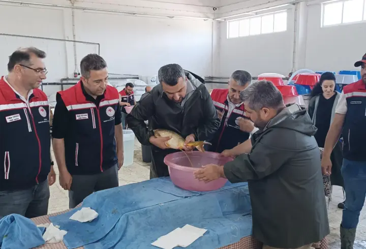 Edirne’de bu yıl 10 milyon 500 bin balık yavrusu üretilmesi planlanıyor