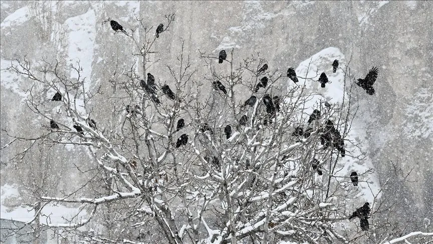 Aralık'ta en düşük sıcaklık Van'da en yüksek sıcaklık Hatay'da ölçüldü