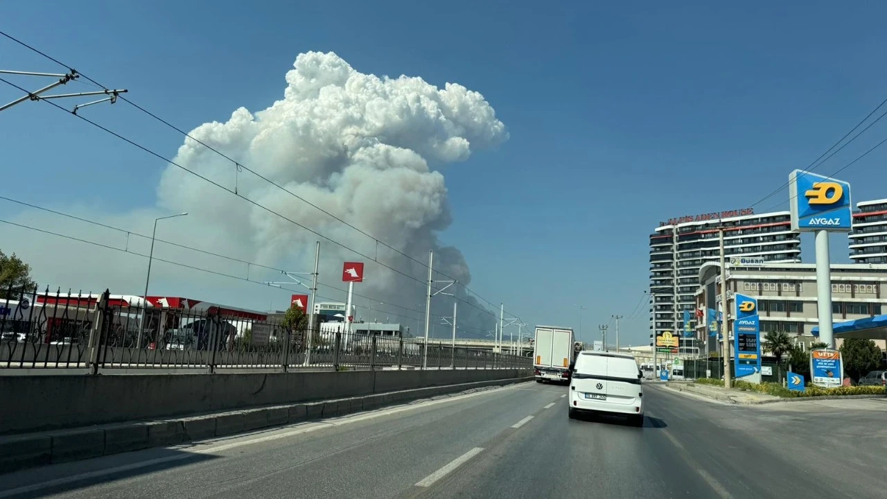 Bursa Osmangazi'de orman yangını: Dumanlar ilçe merkezinden görüldü!