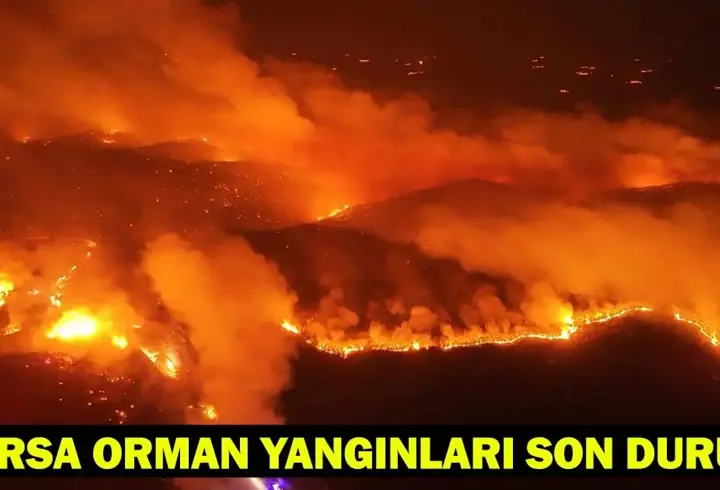 BURSA ORMAN YANGINI SON DAKİKA: Bursa Gürsu, Kestel, Orhaneli, Harmancık yangınları söndürüldü mü?