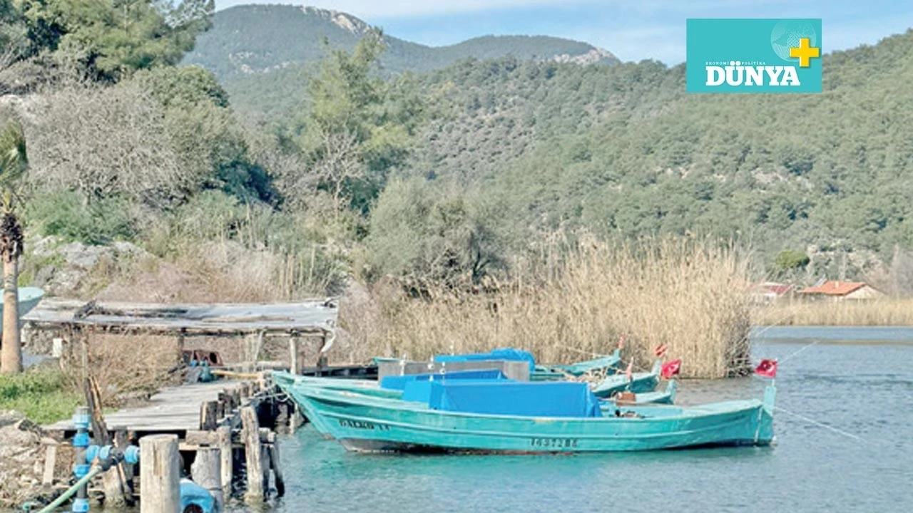 Ula’da bir pazar sabahı