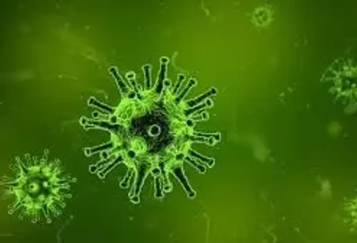 COVİD'DEN 5 KAT DAHA ÖLDÜRÜCÜ! Nipah virüsü yeni pandemi habercisi mi?