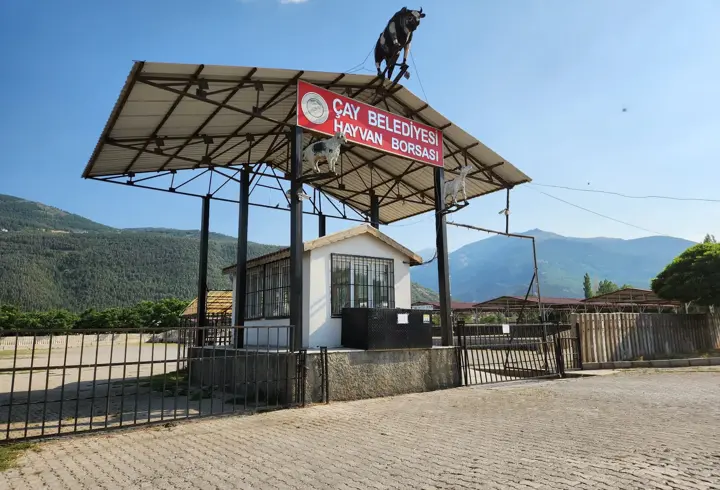 Çay hayvan borsası açıldı