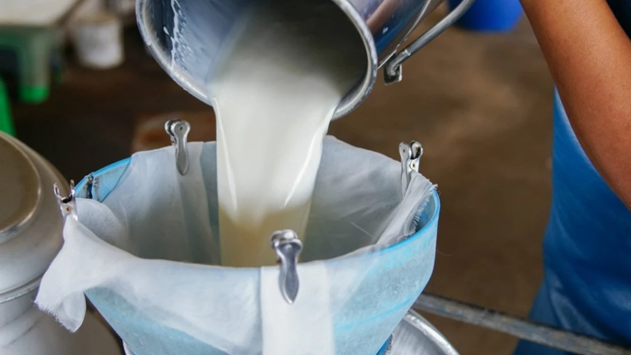 Çiğ süt fiyatına zam: Litre başına net 18,35 TL