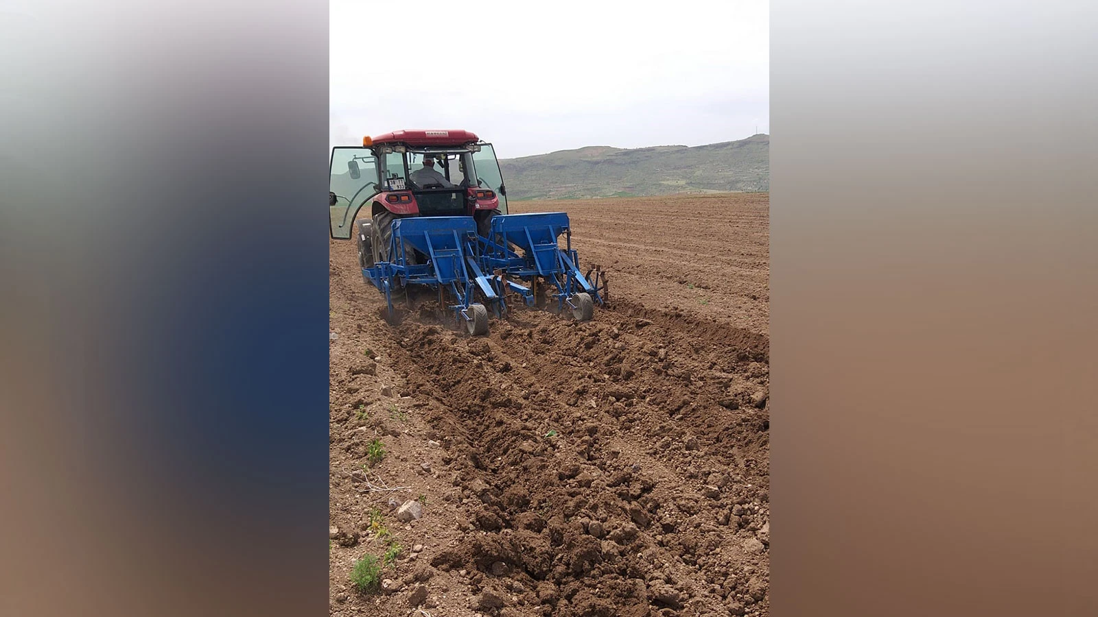 Erciyes'in eteklerinde kabak çekirdeği sezonu
