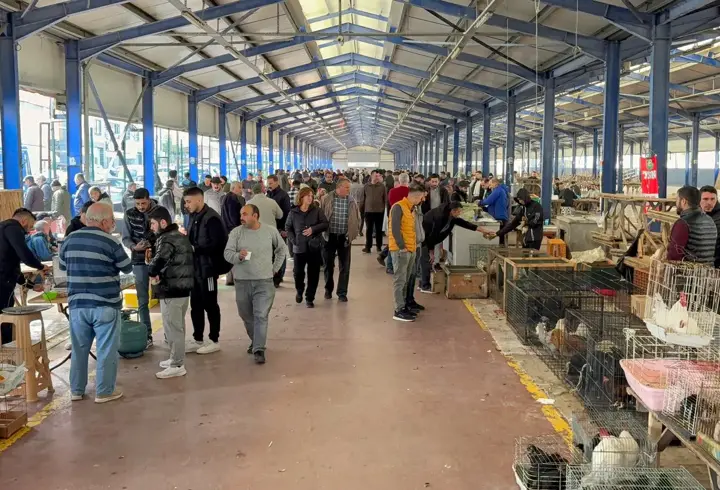 Tekirdağ’da açılan güvercin pazarı, aileler ve çocukların ilgi odağı oldu