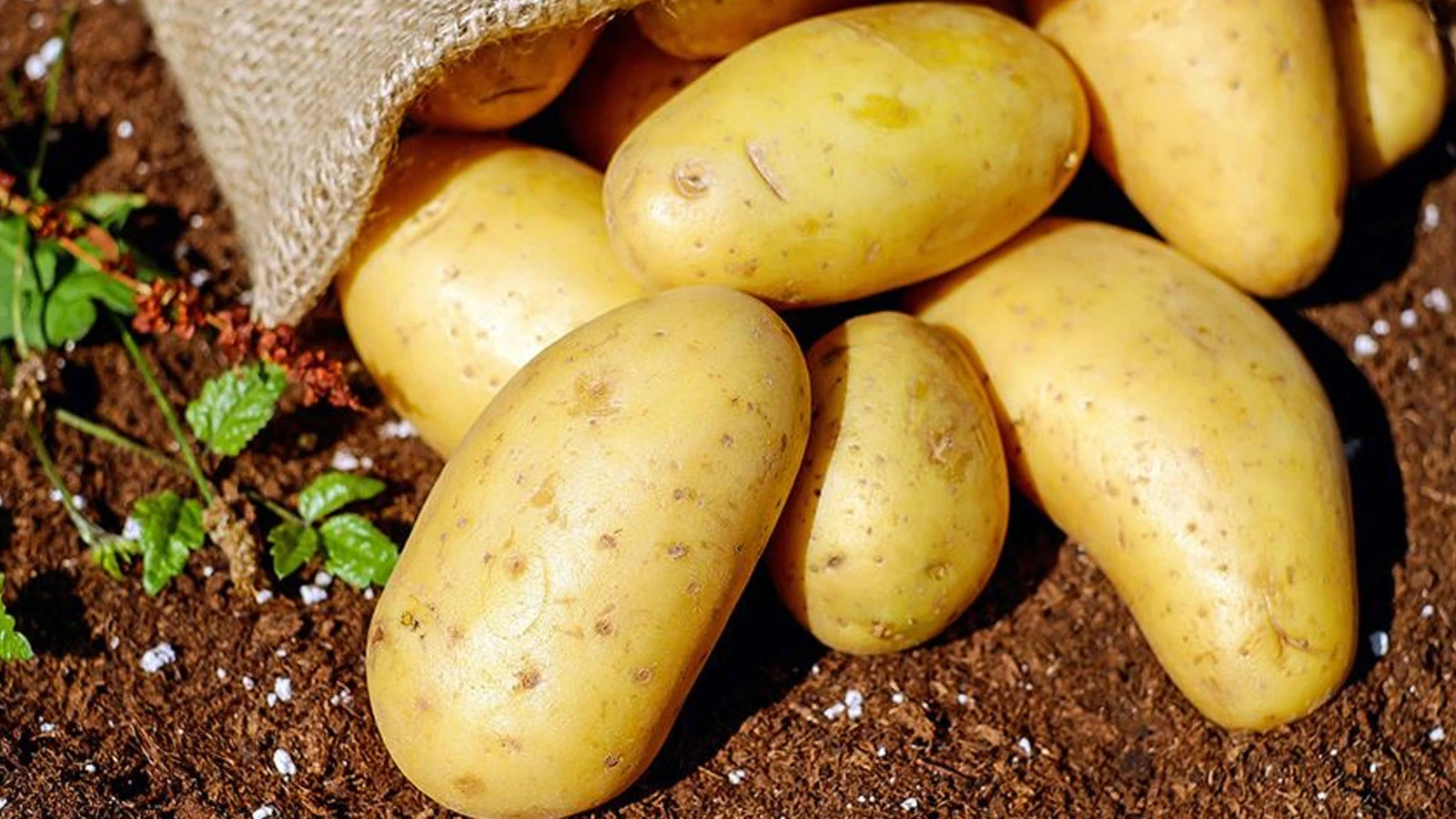 Martta fiyatı en çok artan ürün patates oldu