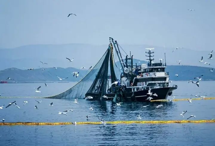 Denizlerde av yasağı 15 Nisan'da başlıyor