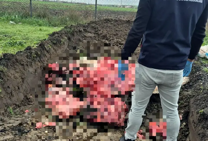   Tekirdağ'da menşei belli olmayan 1 ton hayvansal ürün imha edildi