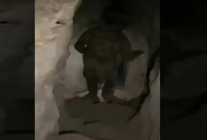 Irak'ın kuzeyinde PKK'nın kullandığı mağara ele geçirildi
