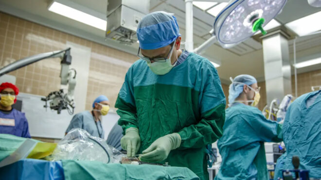 Neuralink’in rakiplerinden Paradromics, ilk beyin çipini sorunsuz olarak yerleştirdi
