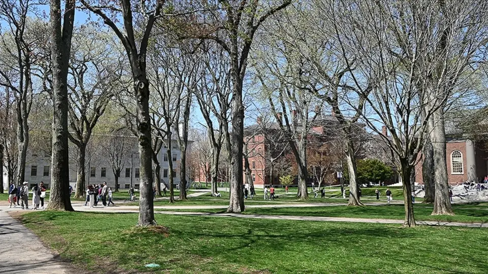 Turmp'tan Harvard'ın fonunu başka okullara aktarma planı