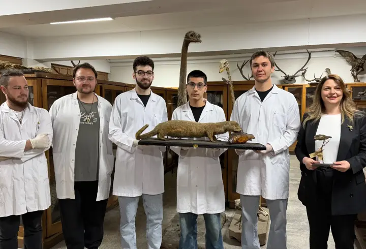 Doldurulmuş hayvan koleksiyonu, müzede korunuyor